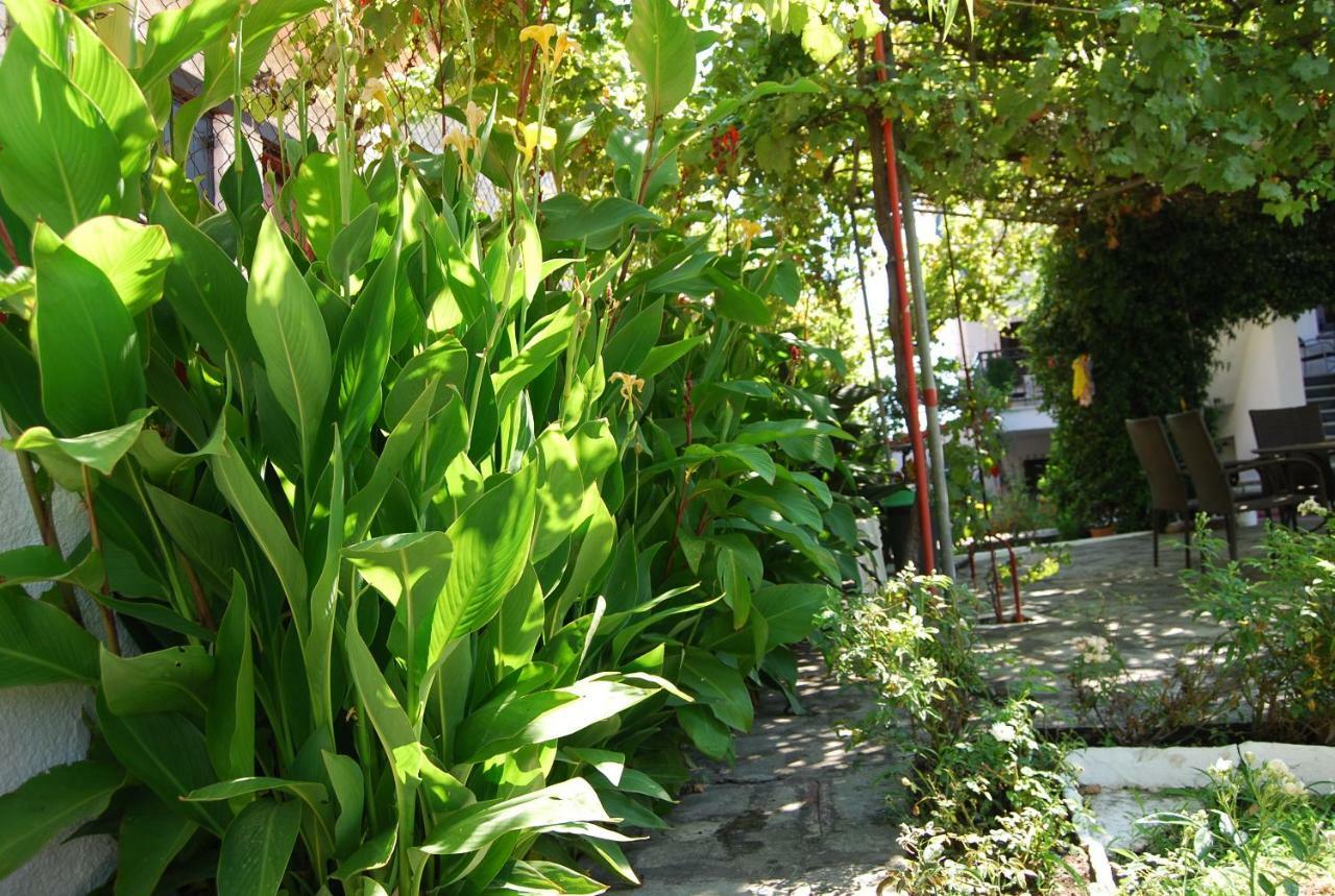 Studio Nastasia อาฟิโตส ภายนอก รูปภาพ